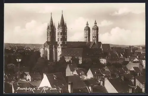 AK Naumburg / Saale, Blick über die Dächer und zum Dom