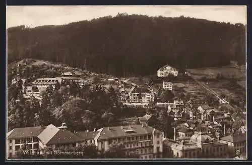 AK Wildbad / Schwarzwald, Ortsansicht mit Sommerberg