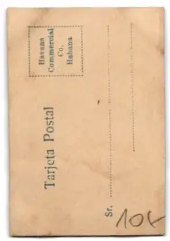 Mini-AK Junge Dame mit hochgestecktem Haar im seitlichen Portrait