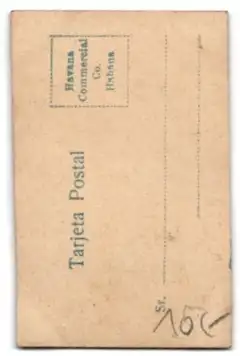 Mini-AK Lächelnde junge Dame mit hochgestecktem Haar und feiner Kette