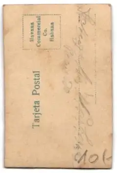 Mini-AK Dame in langem Kleid mit Blumenstickerei