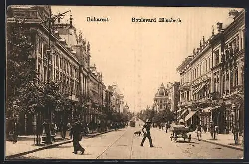 AK Bucuresti, Boulevard Elisabeth, Strassenbahn