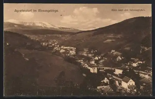 AK Agnetendorf im Riesengebirge, Blick nach den Schneegruben