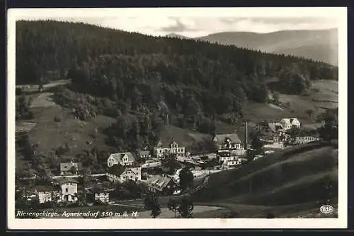 AK Agnetendorf /Riesengebirge, Ortsansicht aus der Vogelschau