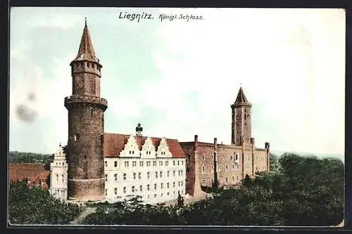 AK Liegnitz, Blick zum Königl. Schloss