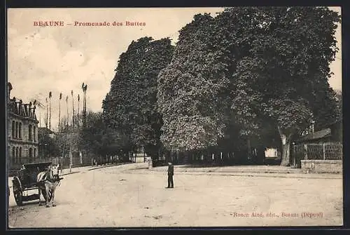 AK Beaune, Promenade des Buttes avec calèche et arbres majestueux