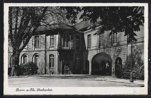 AK Bonn a. Rh., Stockentor