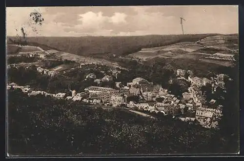 AK Bad Langenschwalbach, Teilansicht