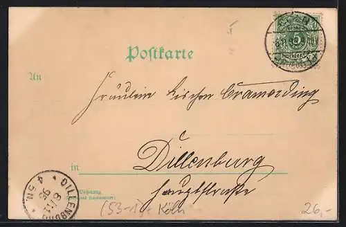 Vorläufer-Lithographie Köln, 1895, Dom, Rathaus und Flora