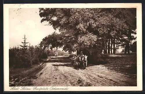 AK Wien, Städt. Lobau, Rastplatz Ochsenweide