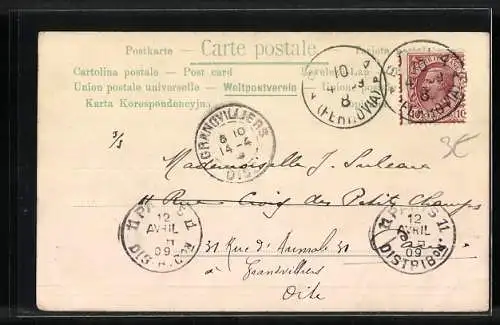 AK Katzen beim Kuscheln