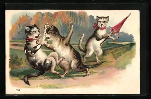 Lithographie vermenschlichte Katzen prügeln sich um eine Katzendame