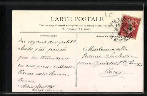 Künstler-AK Fünf jünge Katzen