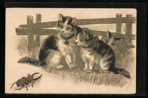 Lithographie Drei kleine Katzen und ein Hirschkäfer