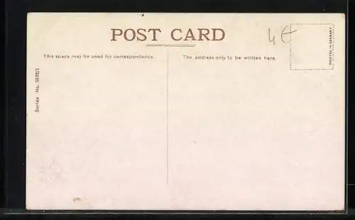 AK Zwei graue Katzen mit Gänseblumen