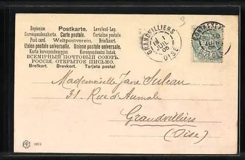 AK Zwei Katzen hängen in einem Korb