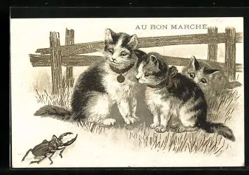 Lithographie Drei kleine Katzen und ein Hirschkäfer