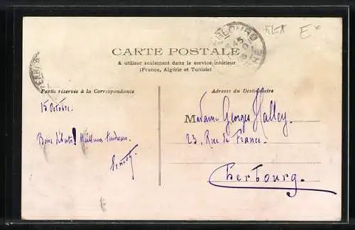 AK Drei Katzen sitzen zwischen Vergissmeinnicht