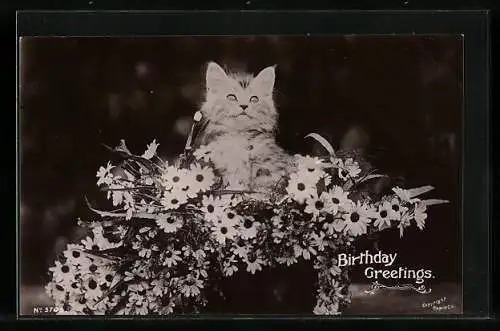 AK Katze und Blumen als Geburtstagsgruss