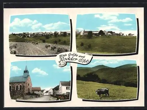 AK Rodder /Eifel, Ortspartoe mit Kirche, Stier auf der Weide