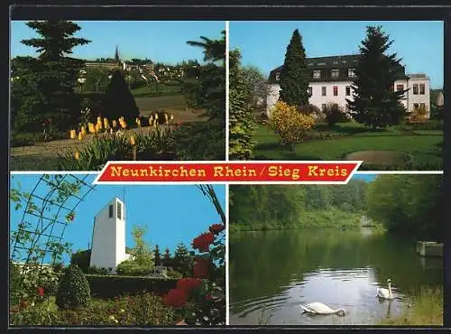 AK Neunkirchen / Seelscheid, Schwäne auf dem See, Blick auf die Kirche, Strassenpartie