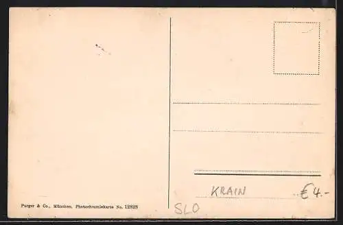 AK Assling-Jesenice /Krain, Ortsansicht mit Umgebung