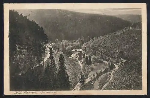 AK Bad Reinerz, Blick ins idyllische Schmelzetal