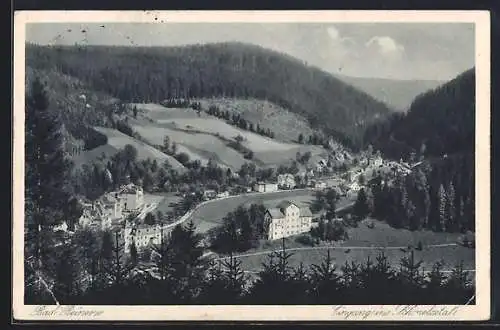 AK Bad Reinerz, Panoramablick ins Schmelzetal