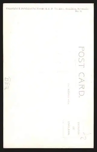 AK St. George`s, An Alley Way