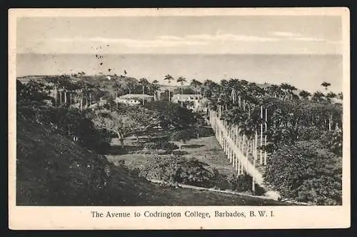 AK Barbados, The Avenue to Codrington College