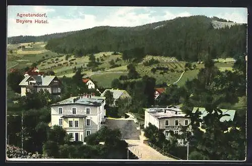 AK Agnetendorf, Ortsansicht mit Beyers Hotel