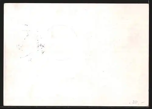 AK Stempel Greiz, Tag der Briefmarke, 12. Januar 1941, Ganzsache