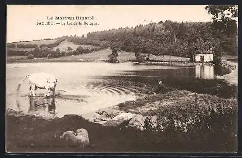 AK Saulieu, Le lac de la Bologne avec une vache et un homme au bord de l`eau