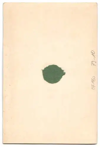 Fotografie J. Wennberg, Tromsö, Lappekone med Barn, Eneret 1901, Lappe, Mutterglück
