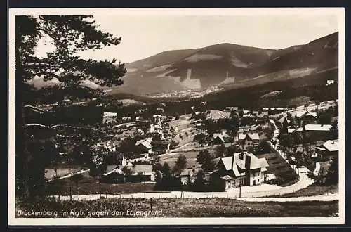 AK Brückenberg im Rgb., Blick gegen den Eulengrund