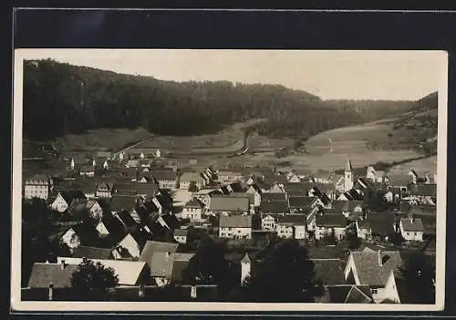 Foto-AK Nusplingen / Württ., Blick über die Ortschaft