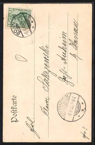 AK Bonn a. Rh., Kaiserl. Palais, Münsterplatz, Stadthalle, Hofgarten