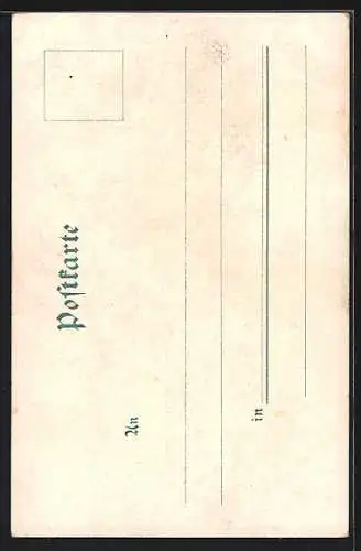 Lithographie Bonn, Stadtpanorama vom Fluss aus, Raddampfer