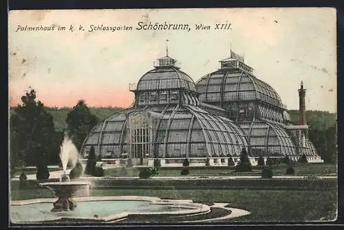 AK Wien, Palmenhaus im k. k. Schlossgarten Schönbrunn