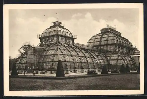 AK Wien, Palmenhaus im Schönbrunner Schlosspark