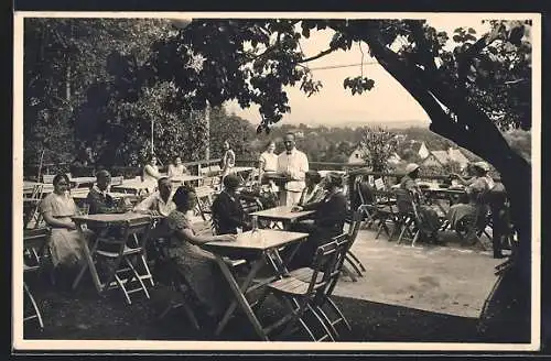 AK Wien, Restaurant Auerhütte Ober St. Veit, Adolftorgasse 26