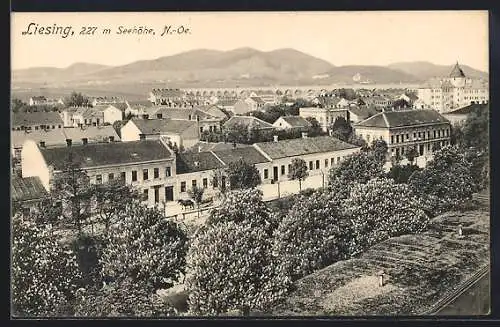 AK Wien, Liesing, Blick über die Dächer