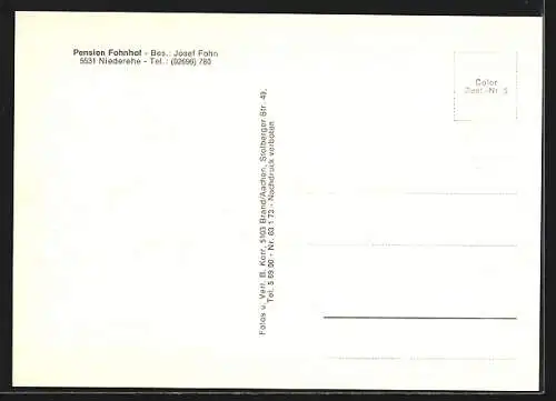 AK Niederehe, Pension Fohnhof, Ortsansicht aus der Vogelschau