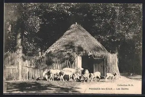 AK Pougues-les-Eaux, Les Daims