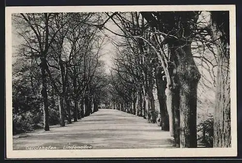 AK Gerolzhofen, Blick in die Lindenallee