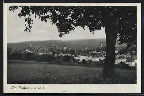 AK Bad Neustadt a. d. Saale, Ortsansicht hinter einem Baum