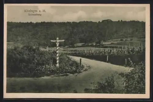 AK Kitzingen a. M., Schwanberg mit Wegweiser