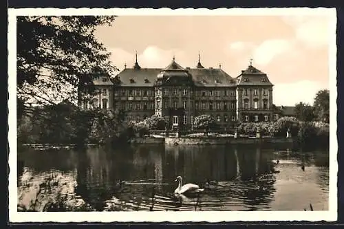 AK Werneck, Schloss mit Schwan