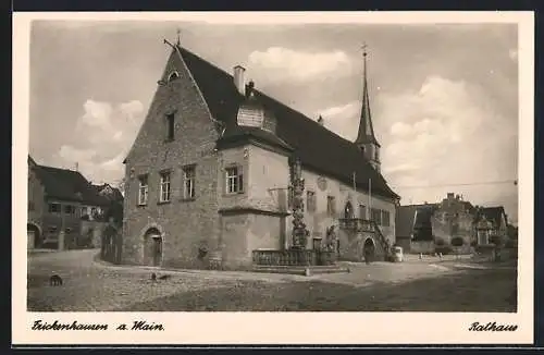 AK Frickenhausen a. Main, Ortspartie mit Blick auf die Kirche