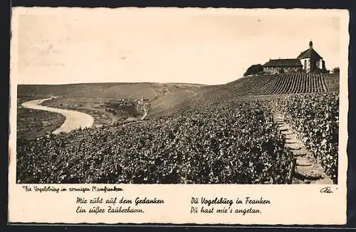 AK Vogelsburg, Blick auf Escherndorf und Mainschleife